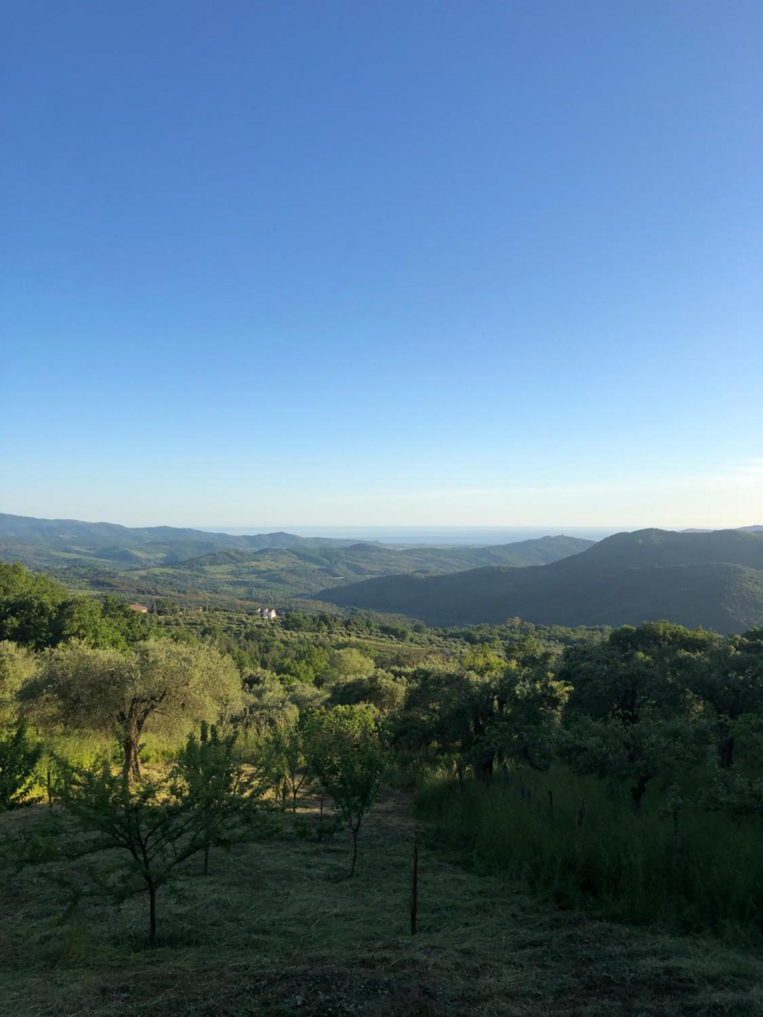 Bed and Breakfast La Casa Di Lidia Cardile Exterior foto