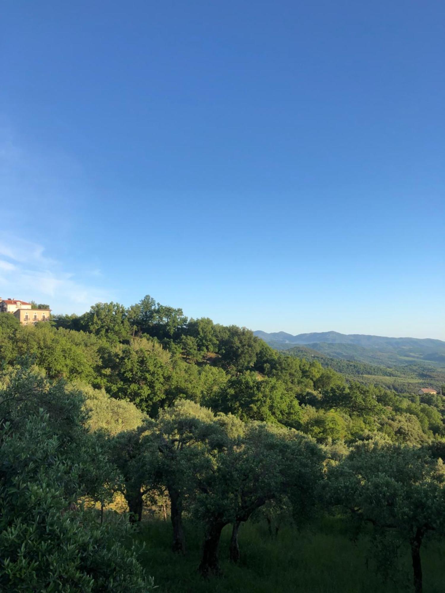 Bed and Breakfast La Casa Di Lidia Cardile Exterior foto